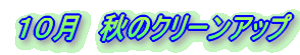 �P�O���@�H�̃N���[���A�b�v